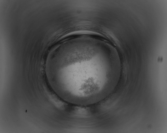 X0000090630073200707171457