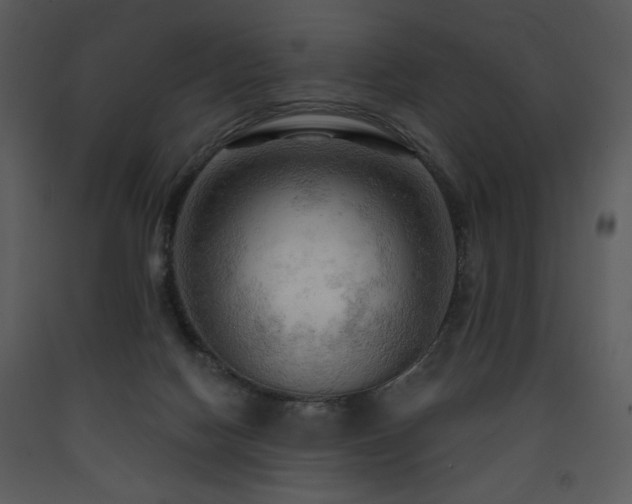X0000090630074200707171457