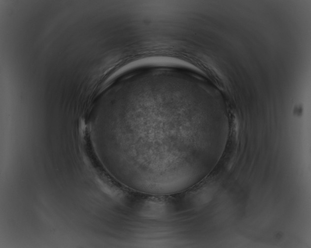X0000090630076200707171457
