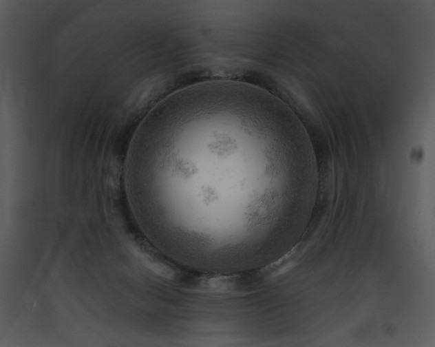 X0000090630078200707171457