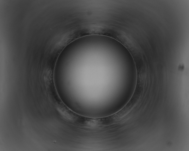 X0000090630079200707171457