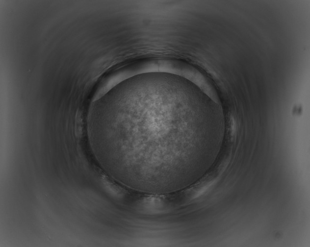 X0000090630080200707171457