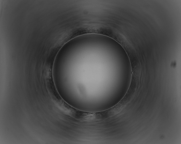 X0000090630083200707171457