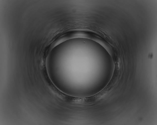 X0000090630084200707171457