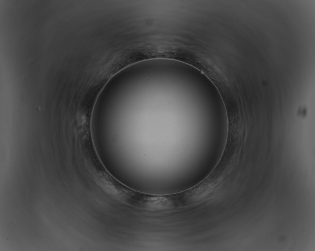 X0000090630087200707171457