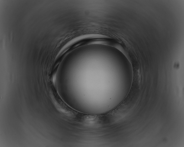 X0000090630088200707171457