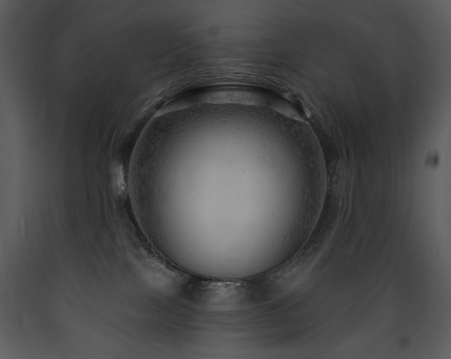 X0000090630089200707171457