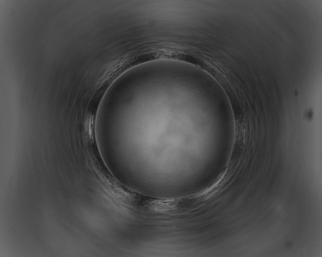 X0000090630094200707171457