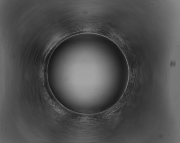 X0000090630098200707171456