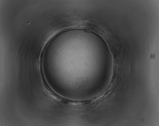 X0000090630100200707171456