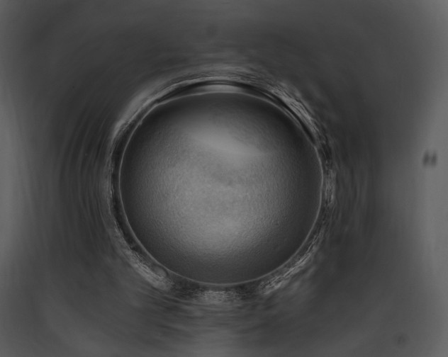 X0000090630101200707171456
