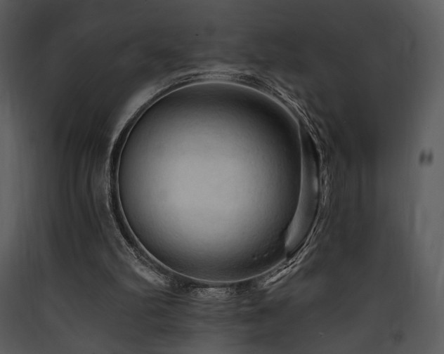 X0000090630102200707171456