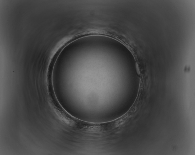 X0000090630104200707171456