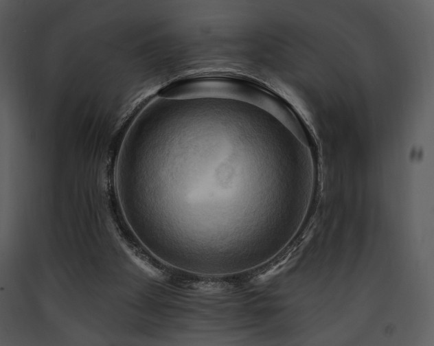 X0000090630105200707171456