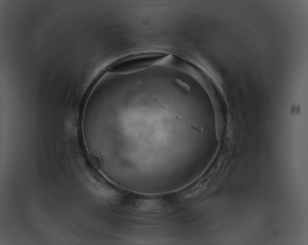 X0000090630107200707171456
