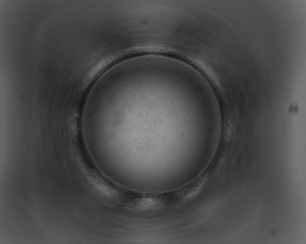 X0000090630111200707171456