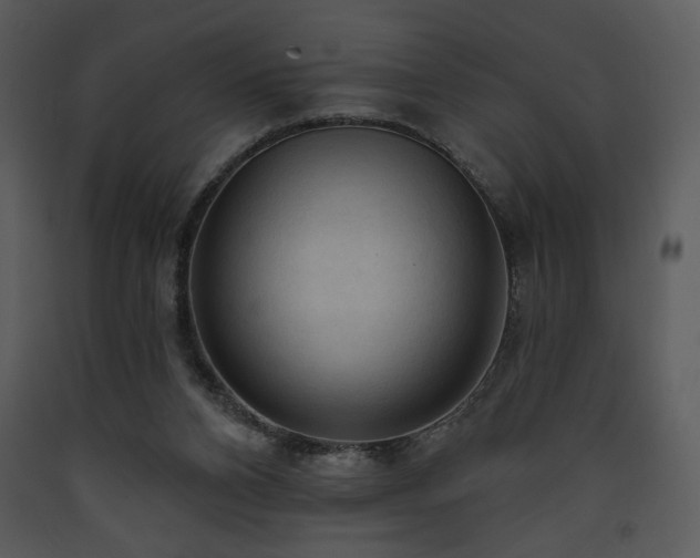 X0000090630112200707171456