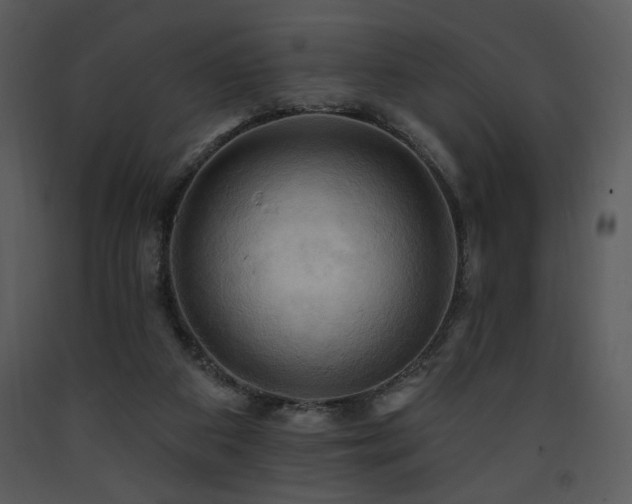 X0000090630113200707171456