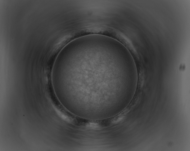 X0000090630114200707171456