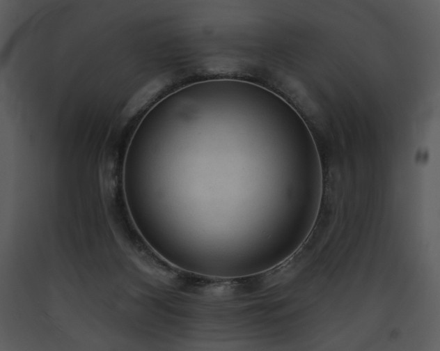 X0000090630116200707171456
