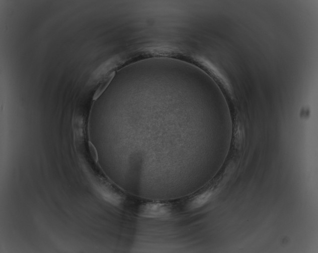 X0000090630117200707171456