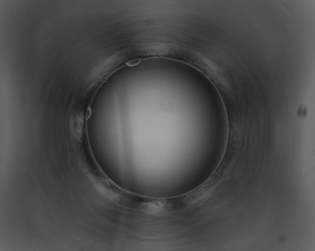 X0000090630118200707171456