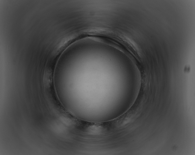 X0000090630119200707171456