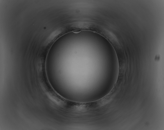 X0000090630120200707171456