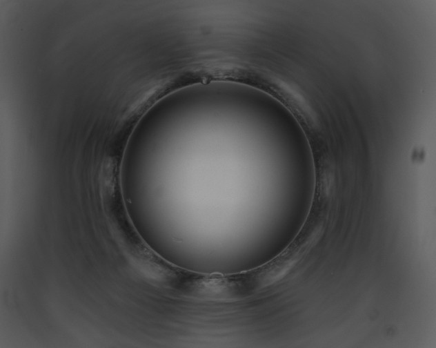 X0000090630121200707171456