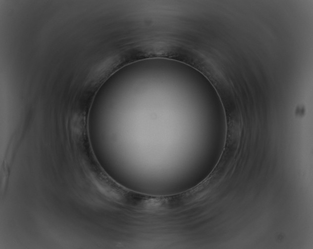 X0000090630126200707171456