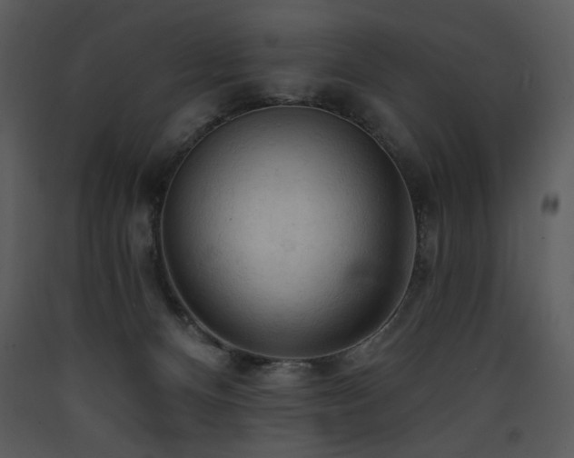 X0000090630128200707171456