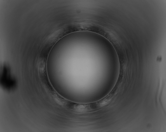 X0000090630129200707171456