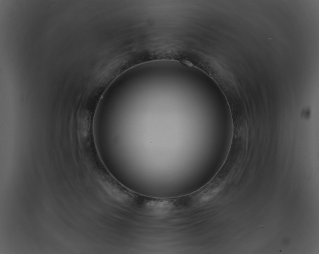 X0000090630133200707171456