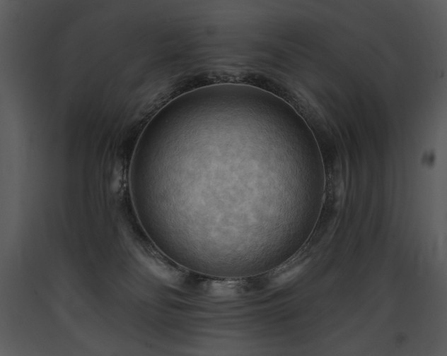 X0000090630134200707171456