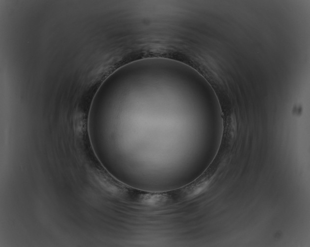 X0000090630135200707171456