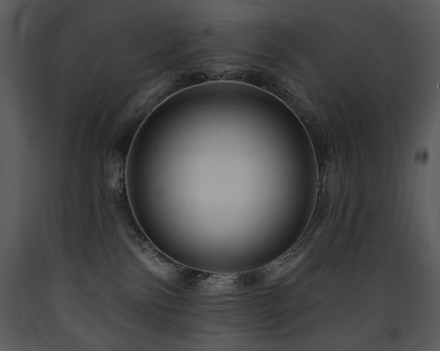 X0000090630138200707171456