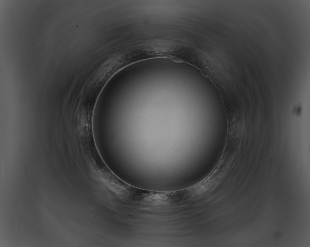 X0000090630140200707171456