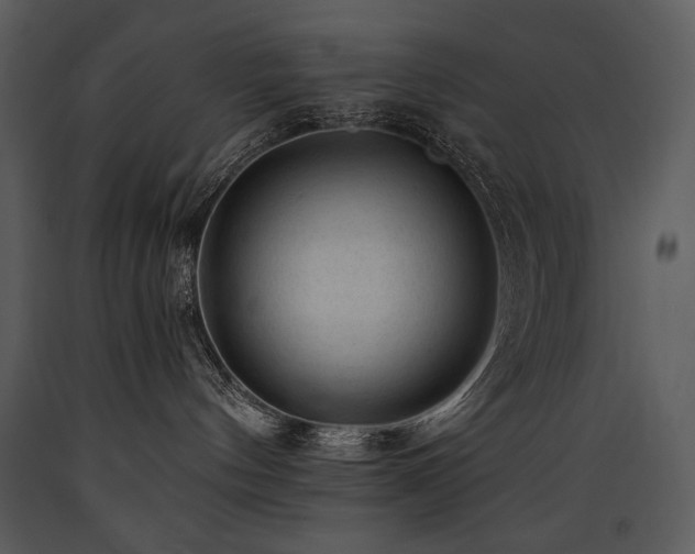X0000090630144200707171456