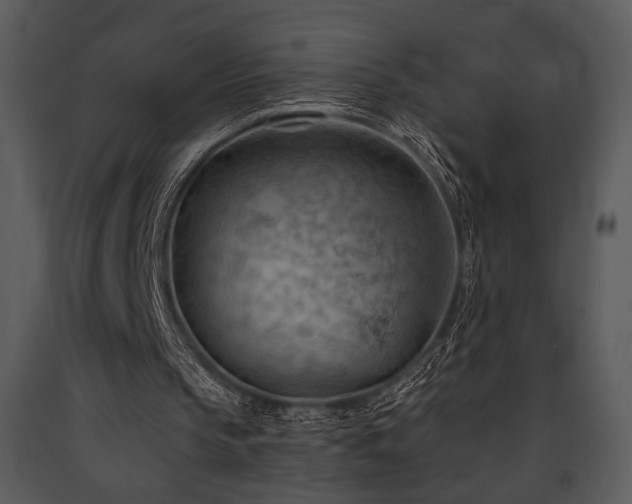 X0000090630145200707171455