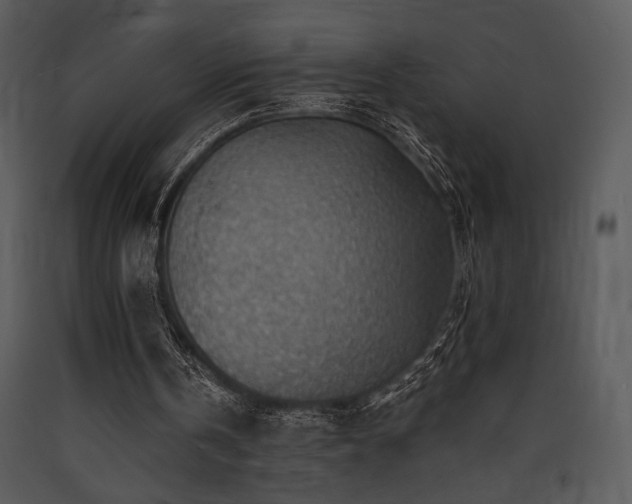 X0000090630146200707171455