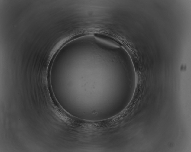 X0000090630147200707171455