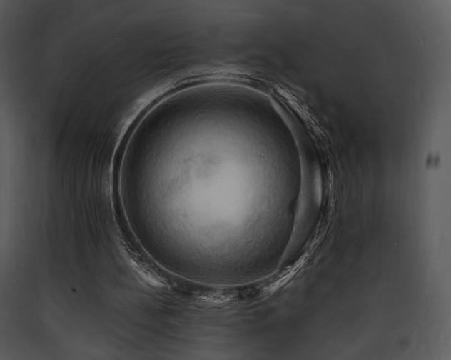 X0000090630148200707171455