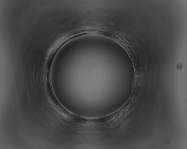 X0000090630149200707171455