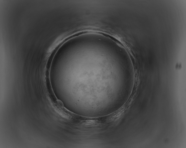 X0000090630151200707171455