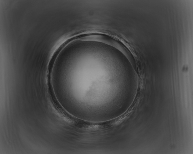 X0000090630152200707171455