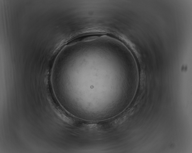 X0000090630153200707171455