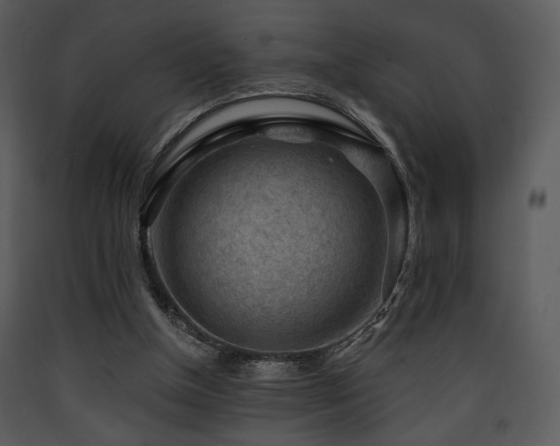 X0000090630154200707171455