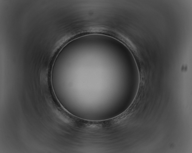 X0000090630155200707171455