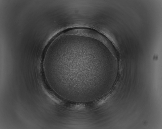 X0000090630156200707171455