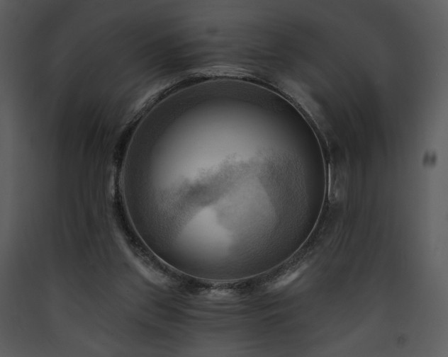 X0000090630157200707171455